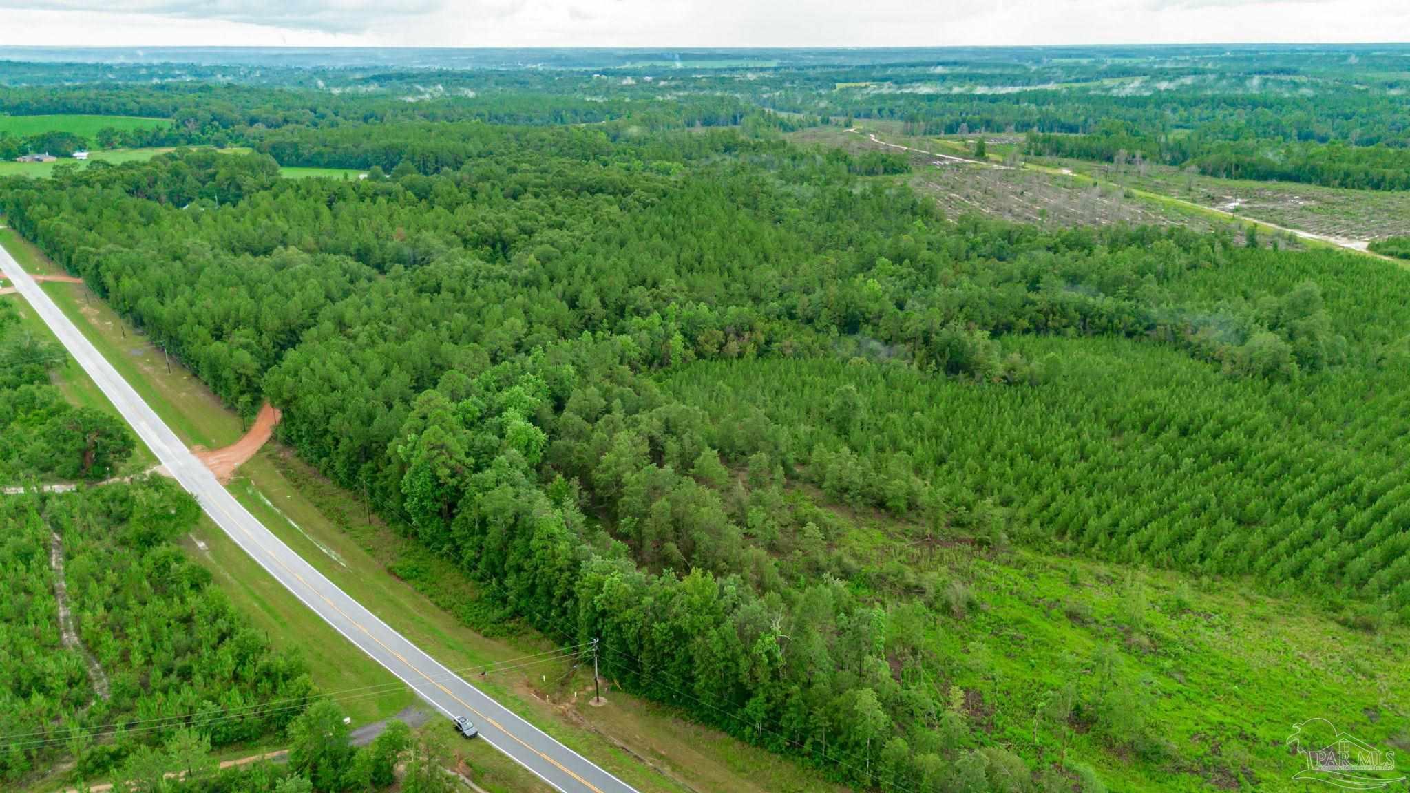 0 Greenwood Road Jay, FL 32565 - Photo 6 of 8