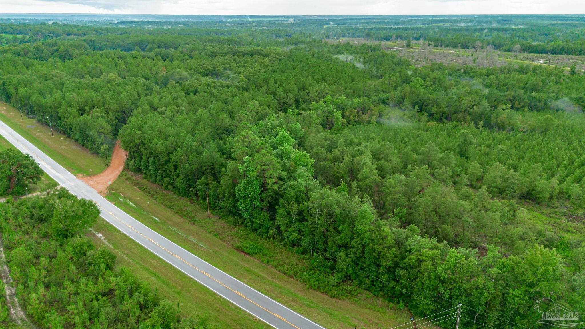 0 Greenwood Road Jay, FL 32565 - Photo 7 of 8