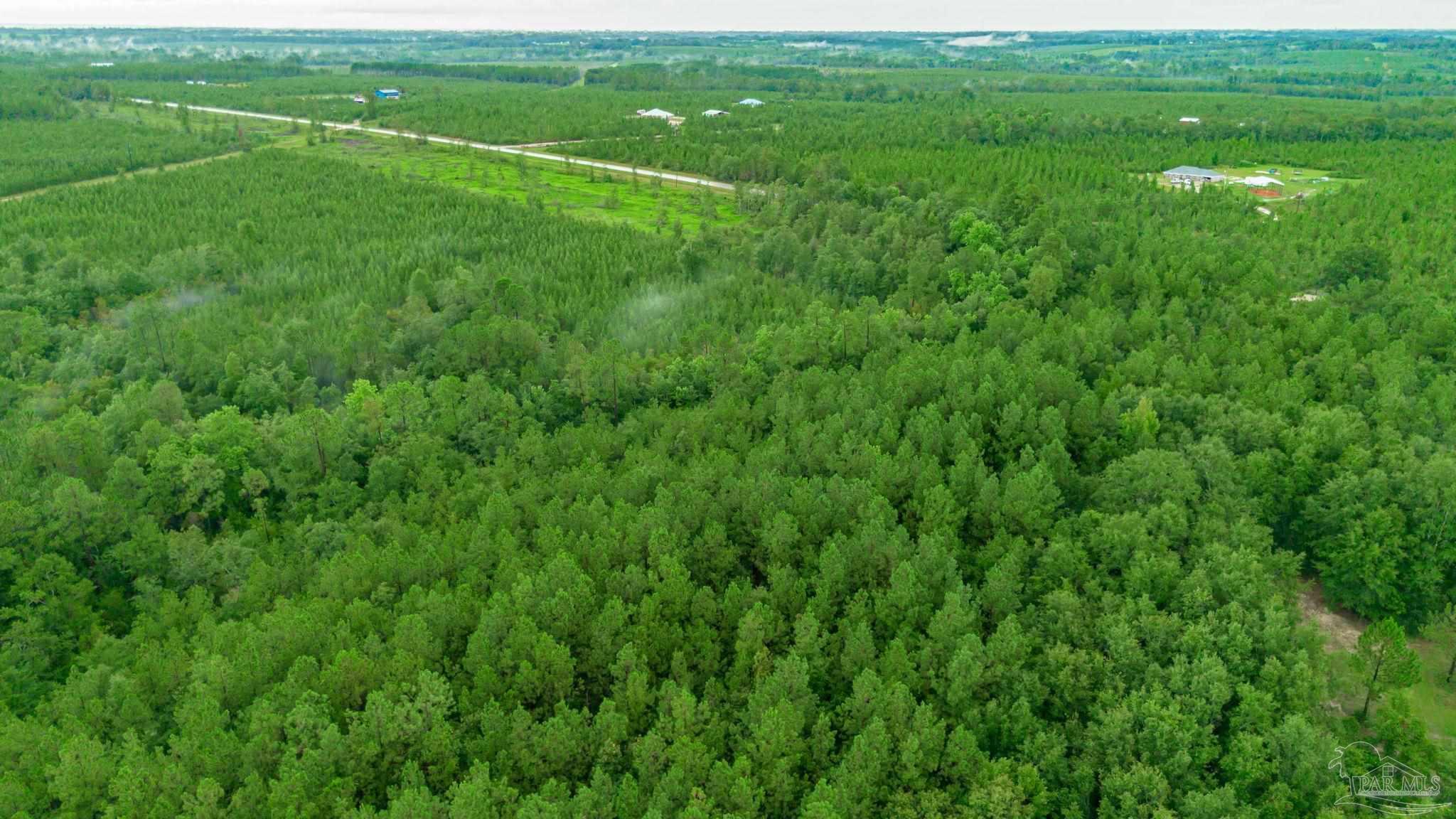 0 Greenwood Road Jay, FL 32565 - Photo 8 of 8