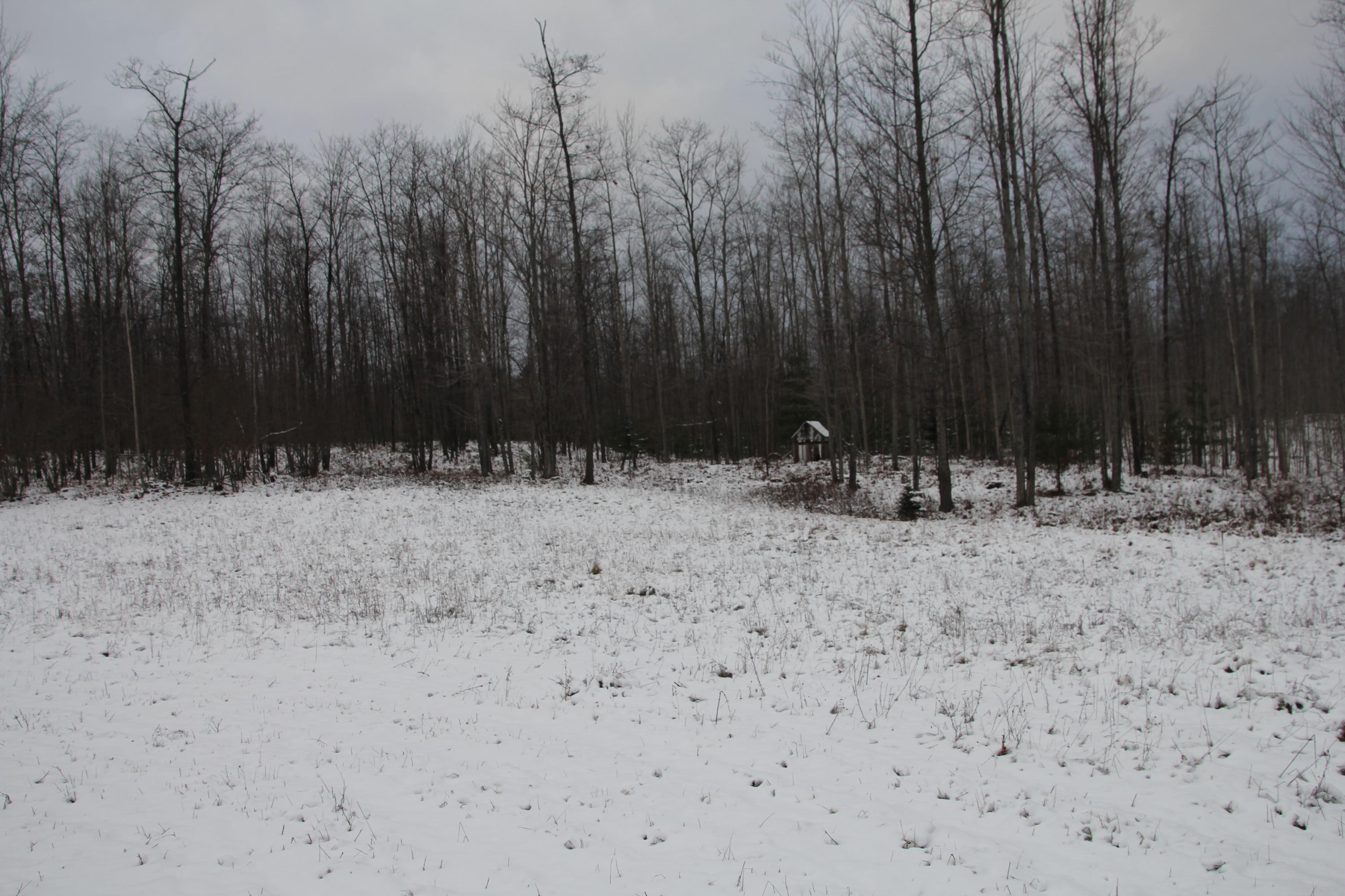 North Taylor Road Lincoln, MI 48742 - Photo 23 of 35 Gallery Image 23