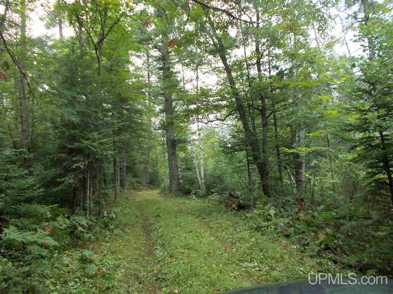 65 Co Road Negaunee, MI 49866 - Photo 26 of 30