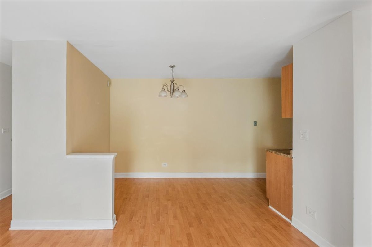 8232 Niles Center Road, Unit 214 Skokie, IL 60077 - Photo 10 of 20