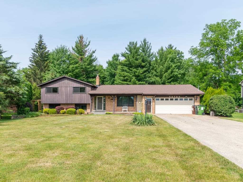 56789 Schoenherr Road Utica, MI 48315 - Photo 1 of 56 50048938.JPG