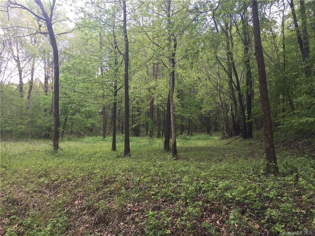 0 Christopher Road, Unit 4 Tryon, NC 28782 - Photo 1 of 6 a view of a forest that has large trees