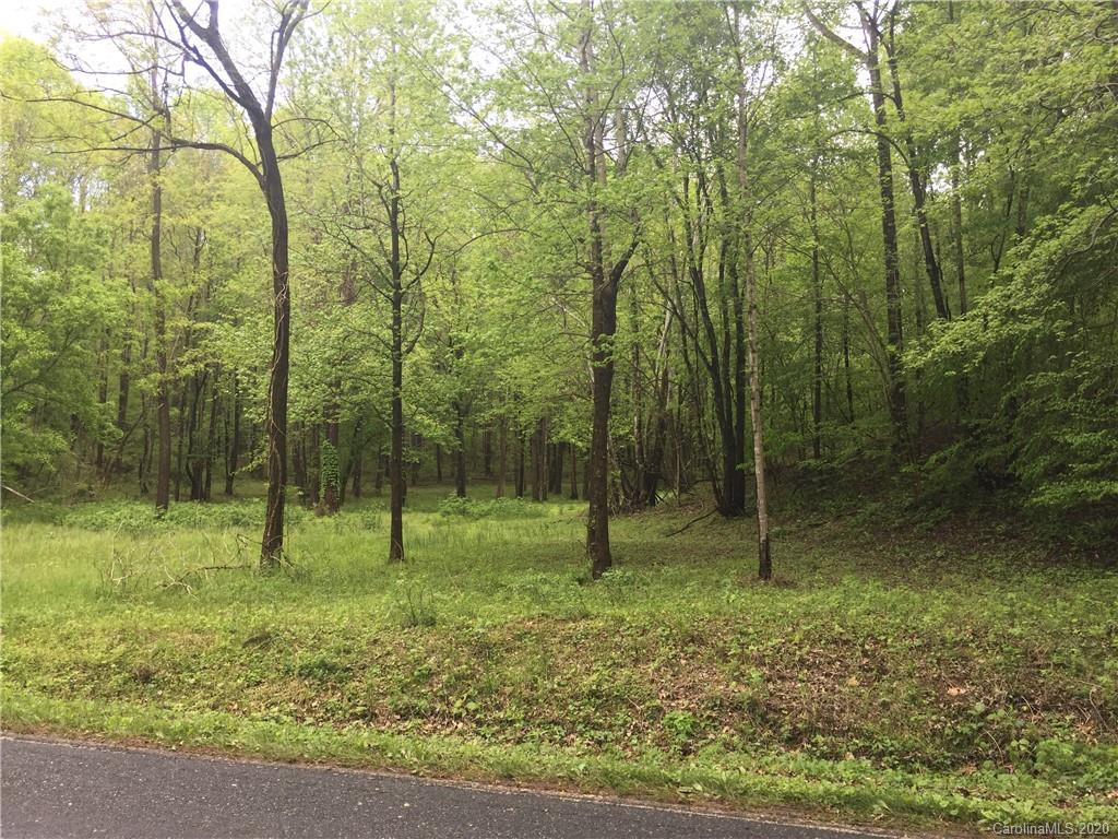 0 Christopher Road, Unit 4 Tryon, NC 28782 - Photo 3 of 6 a view of outdoor space with lots of trees
