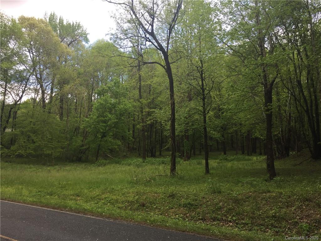 0 Christopher Road, Unit 4 Tryon, NC 28782 - Photo 4 of 6 a view of a forest