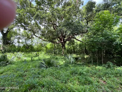 $55,000 | 1 Keno, Abbeville, LA 70510