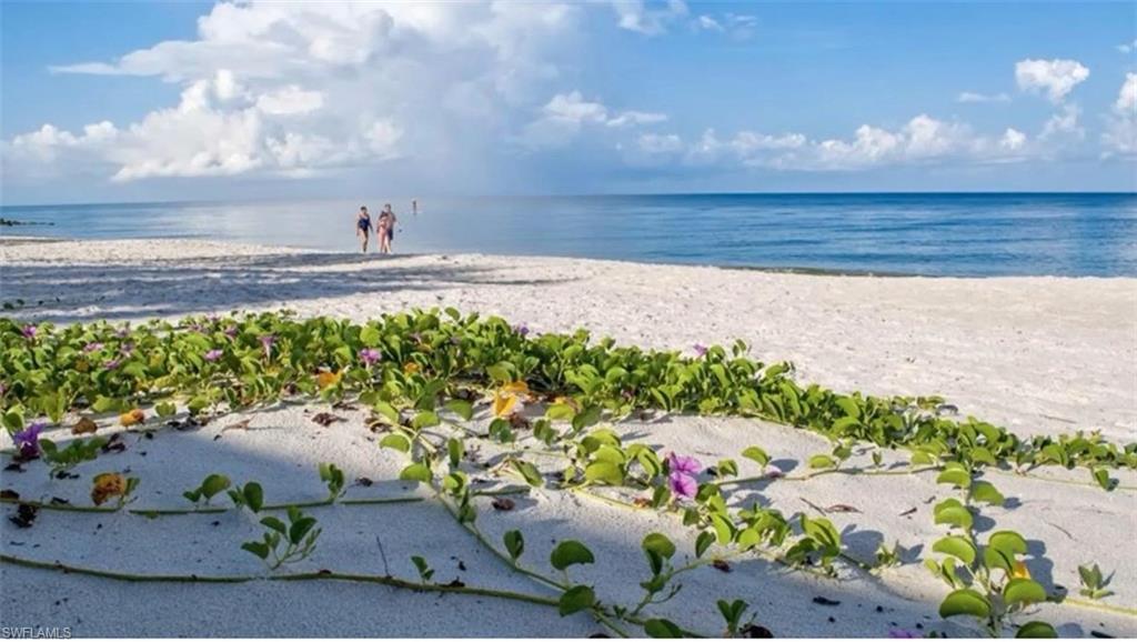 3215 Regatta Road Naples, FL 34103 - Photo 8 of 9 a view of yard with green space