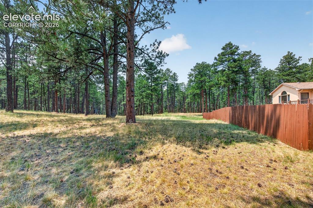 155 Pontiac Loop Monument, CO 80132 - Photo 44 of 50