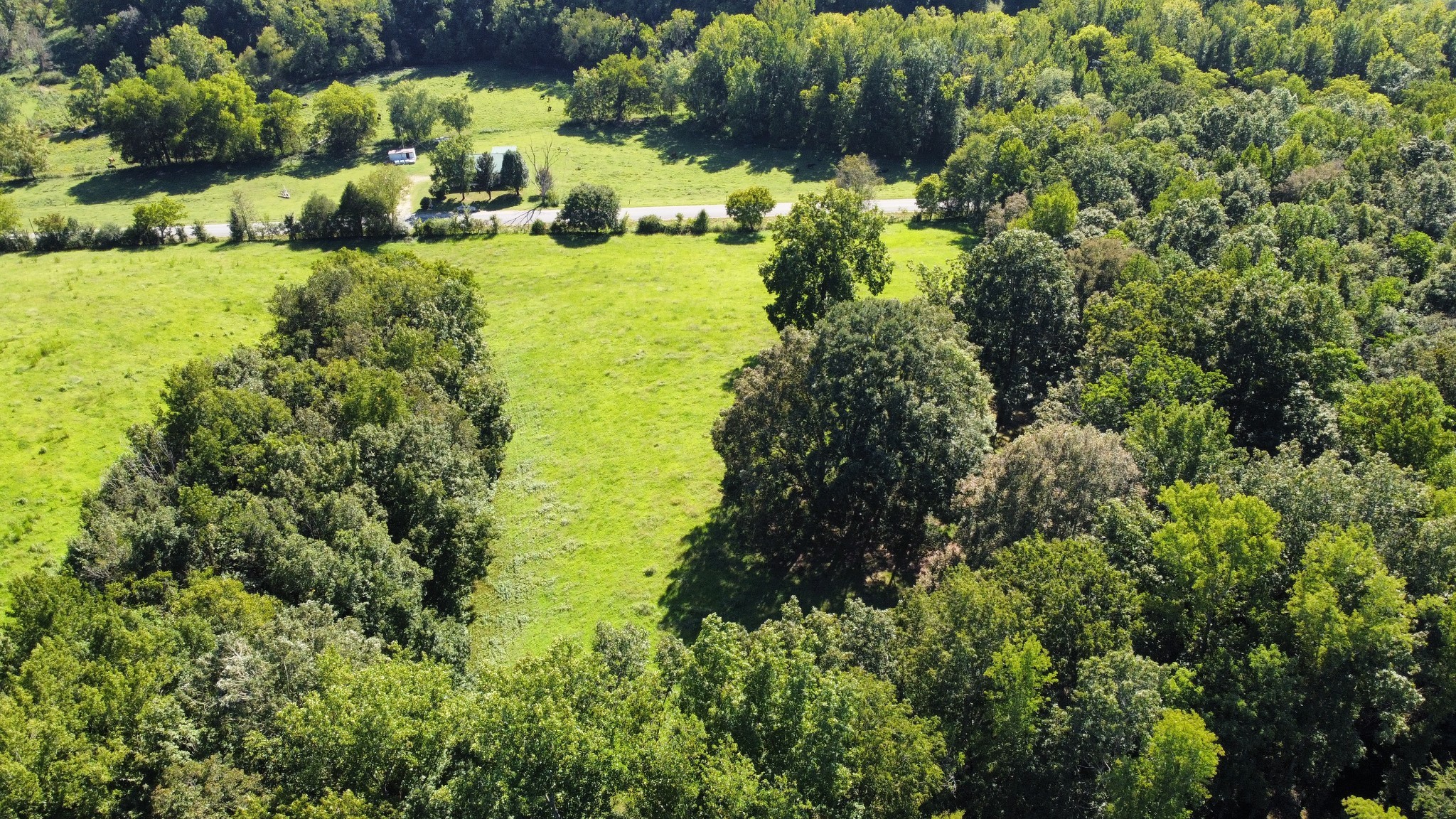 0 Mack Branch Road Lynnville, TN 38472 - Photo 5 of 9 Gallery Image 5