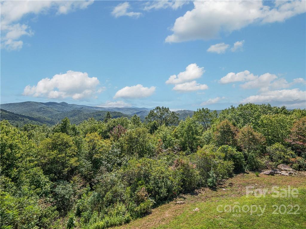 866 Pine Tree Road Spruce Pine, NC 28777 - Photo 29 of 38 a view of a flower in a garden