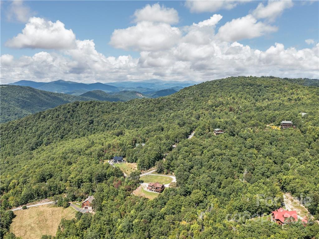 866 Pine Tree Road Spruce Pine, NC 28777 - Photo 36 of 38 a aerial view of a houses with yard