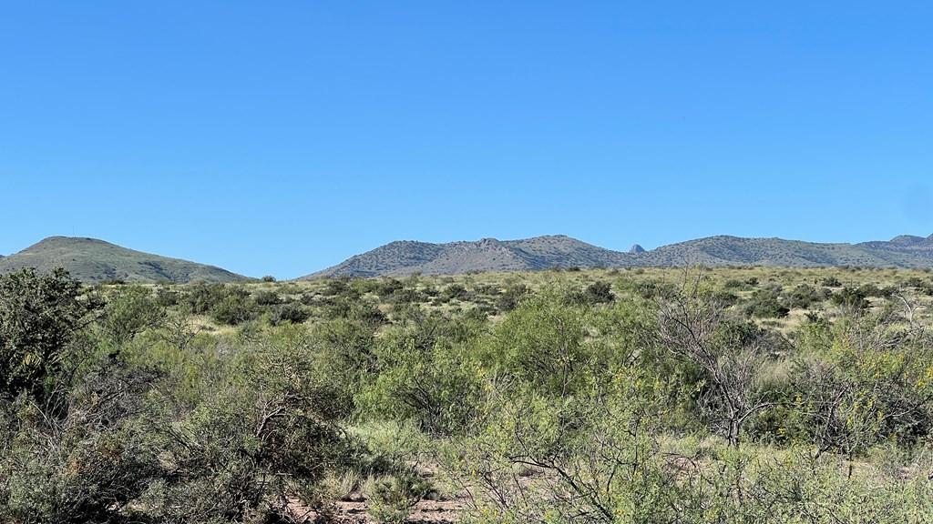 34 Sierra La Rana Alpine, TX 79830 - Photo 5 of 14 Photo 5