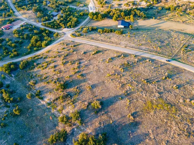 a view of a tree in a yard