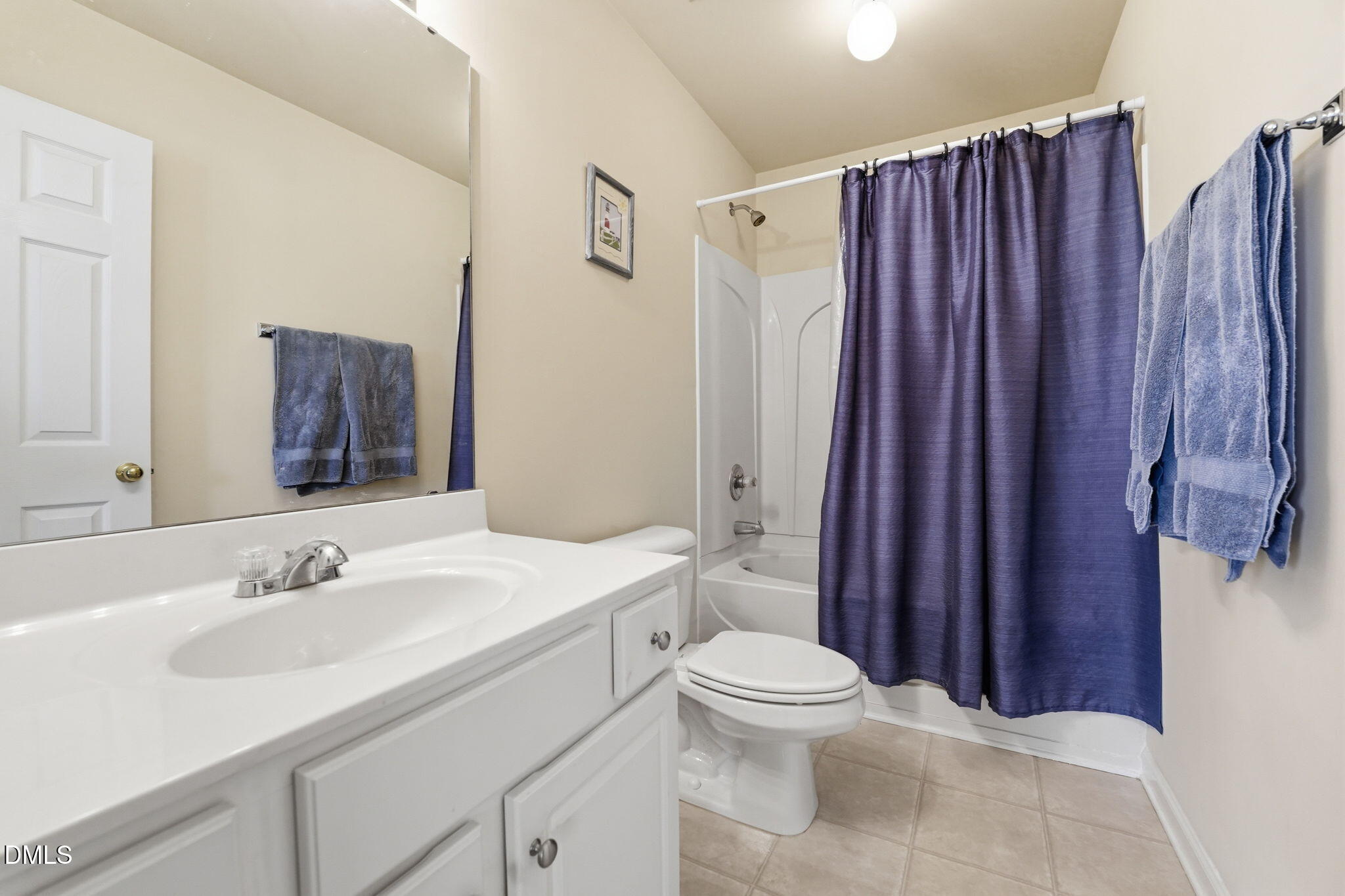 903 Straywhite Avenue Apex, NC 27539 - Photo 24 of 37 a bathroom with a sink a toilet and shower curtain