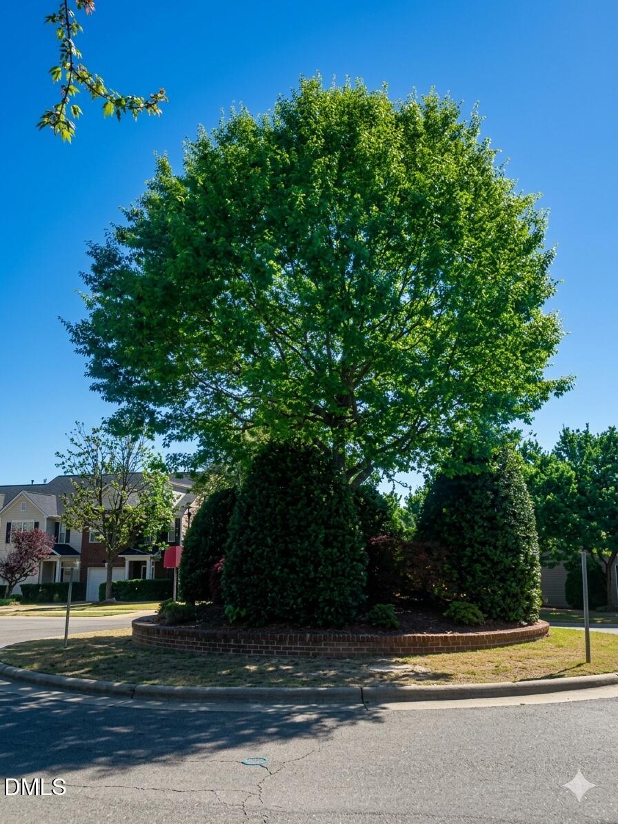 903 Straywhite Avenue Apex, NC 27539 - Photo 7 of 9 Roundabout Miramonte