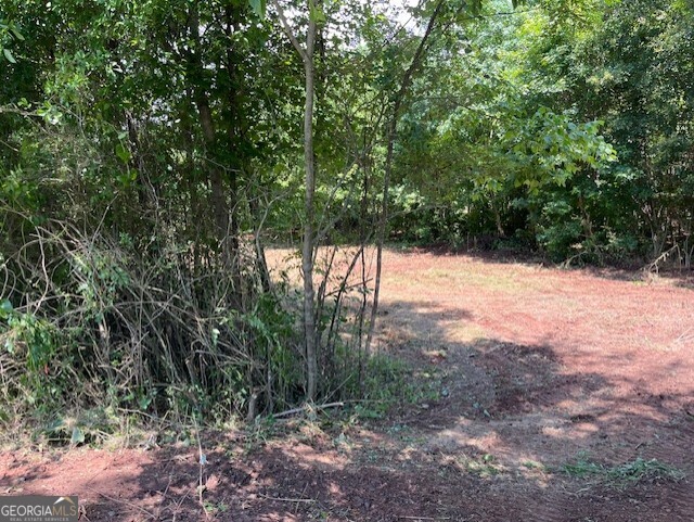 0 Harris Lord Cemetery Road Commerce, GA 30530 - Photo 1 of 1 a view of a yard with a tree