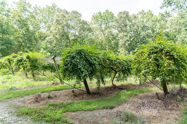 $2,999,999 | 9975 Ball Ground Highway, Ball Ground, GA 30107