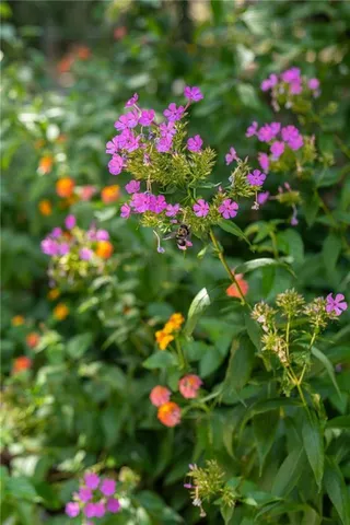 $2,999,999 | 9975 Ball Ground Highway, Ball Ground, GA 30107