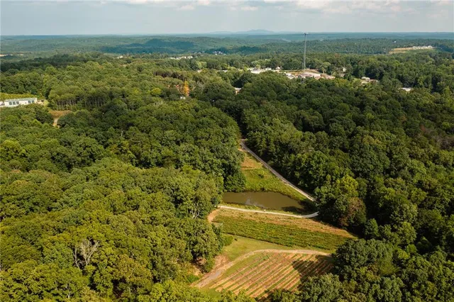$2,999,999 | 9975 Ball Ground Highway, Ball Ground, GA 30107