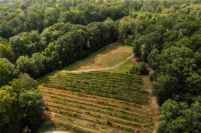 $2,999,999 | 9975 Ball Ground Highway, Ball Ground, GA 30107