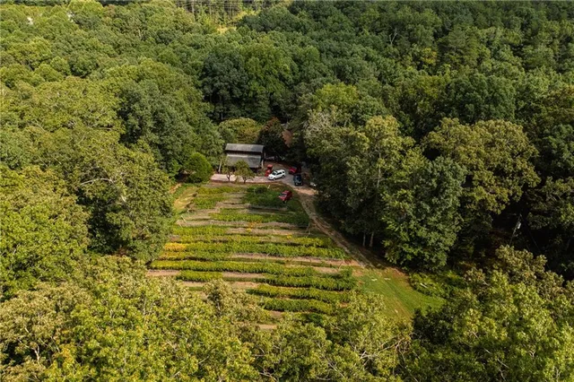 $2,999,999 | 9975 Ball Ground Highway, Ball Ground, GA 30107