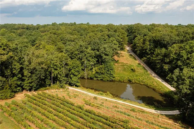 $2,999,999 | 9975 Ball Ground Highway, Ball Ground, GA 30107