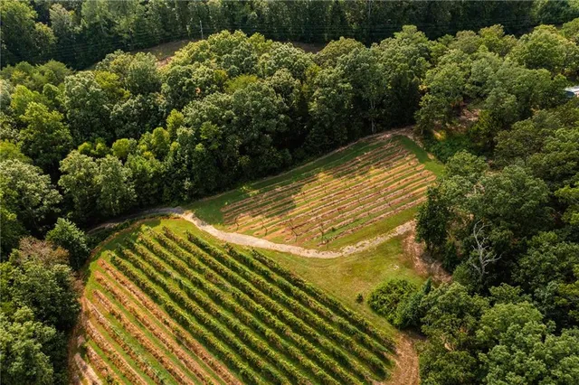 $2,999,999 | 9975 Ball Ground Highway, Ball Ground, GA 30107