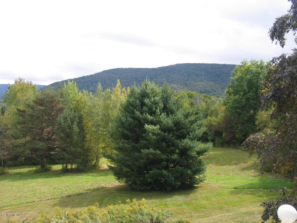 720 Hancock Road Williamstown, MA 01267 - Photo 22 of 24 a view of a back yard