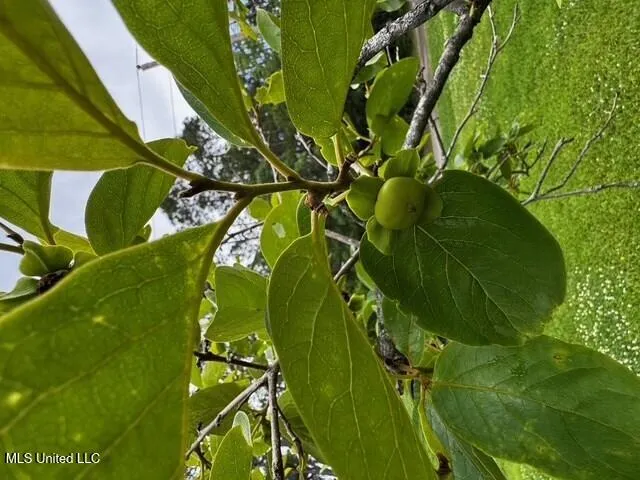 $380,000 | 3099 Longfellow Drive, Bay St. Louis, MS 39520