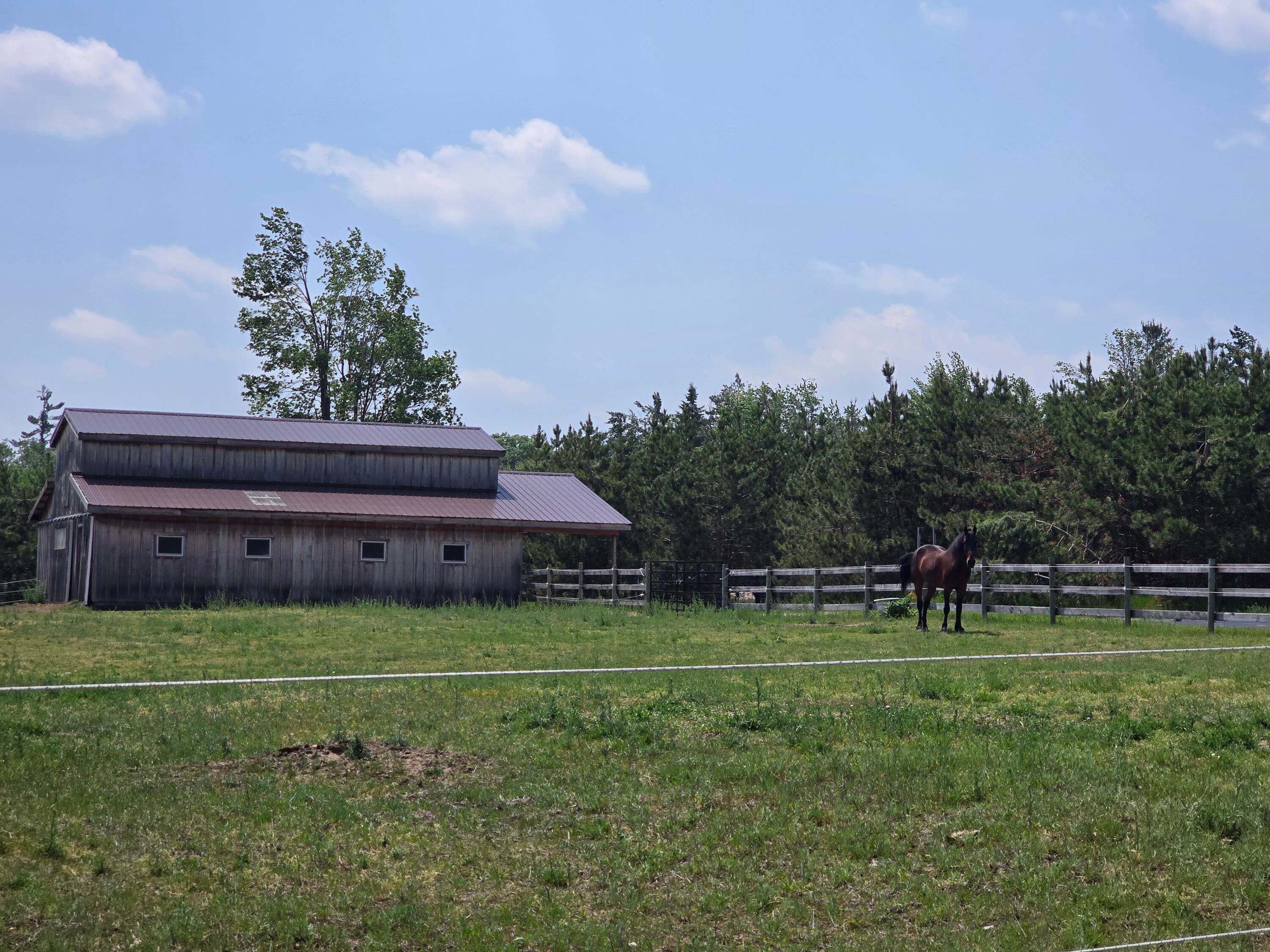 1300 North Perry Creek Road Mio, MI 48647 - Photo 63 of 115 Gallery Image 63