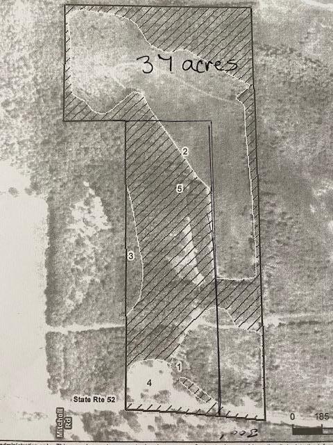 0 Highway 52 Slocomb, AL 36375 - Photo 1 of 12