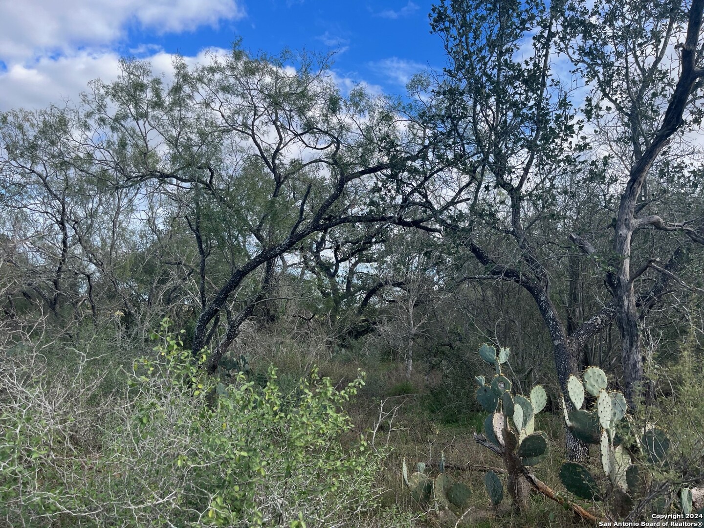 428 Horton Road Poteet, TX 78065 - Photo 11 of 28 a view of a large building with lots of trees