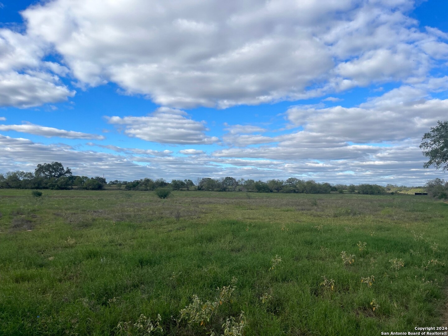 428 Horton Road Poteet, TX 78065 - Photo 2 of 28 a view of an outdoor and trees