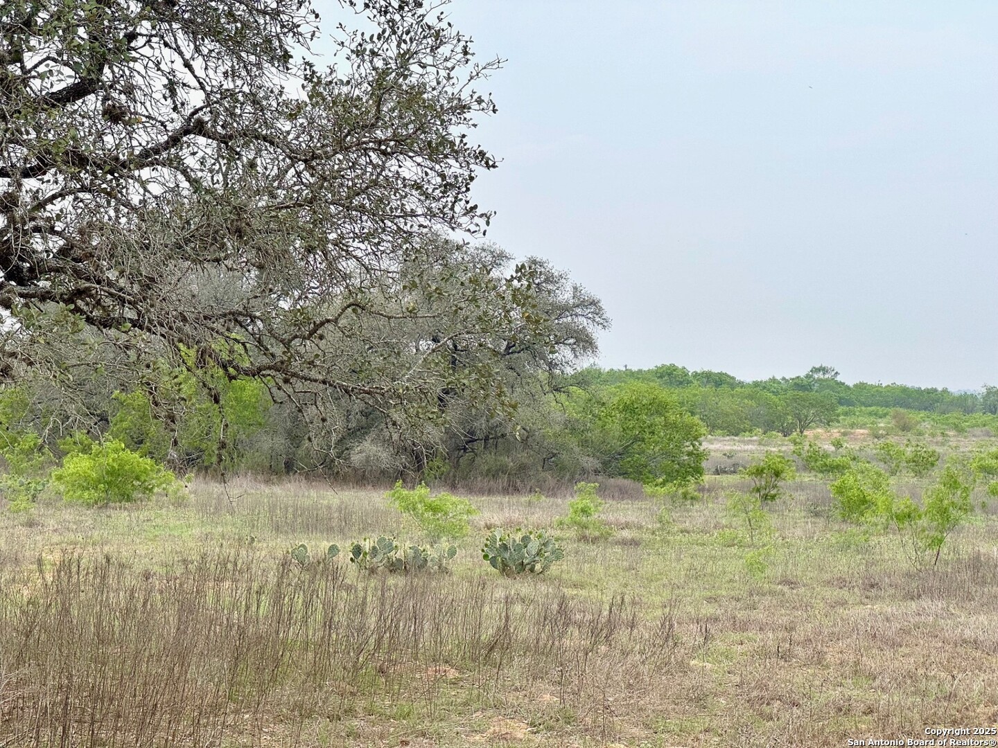 428 Horton Road Poteet, TX 78065 - Photo 21 of 28 a view of lake with mountain