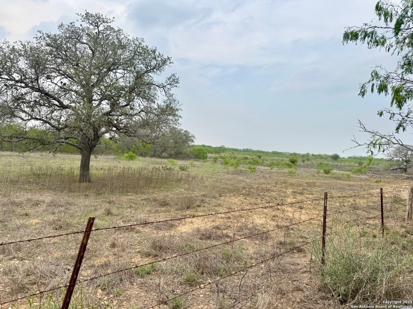 428 Horton Road Poteet, TX 78065 - Photo 22 of 28 a view of a lake with a yard