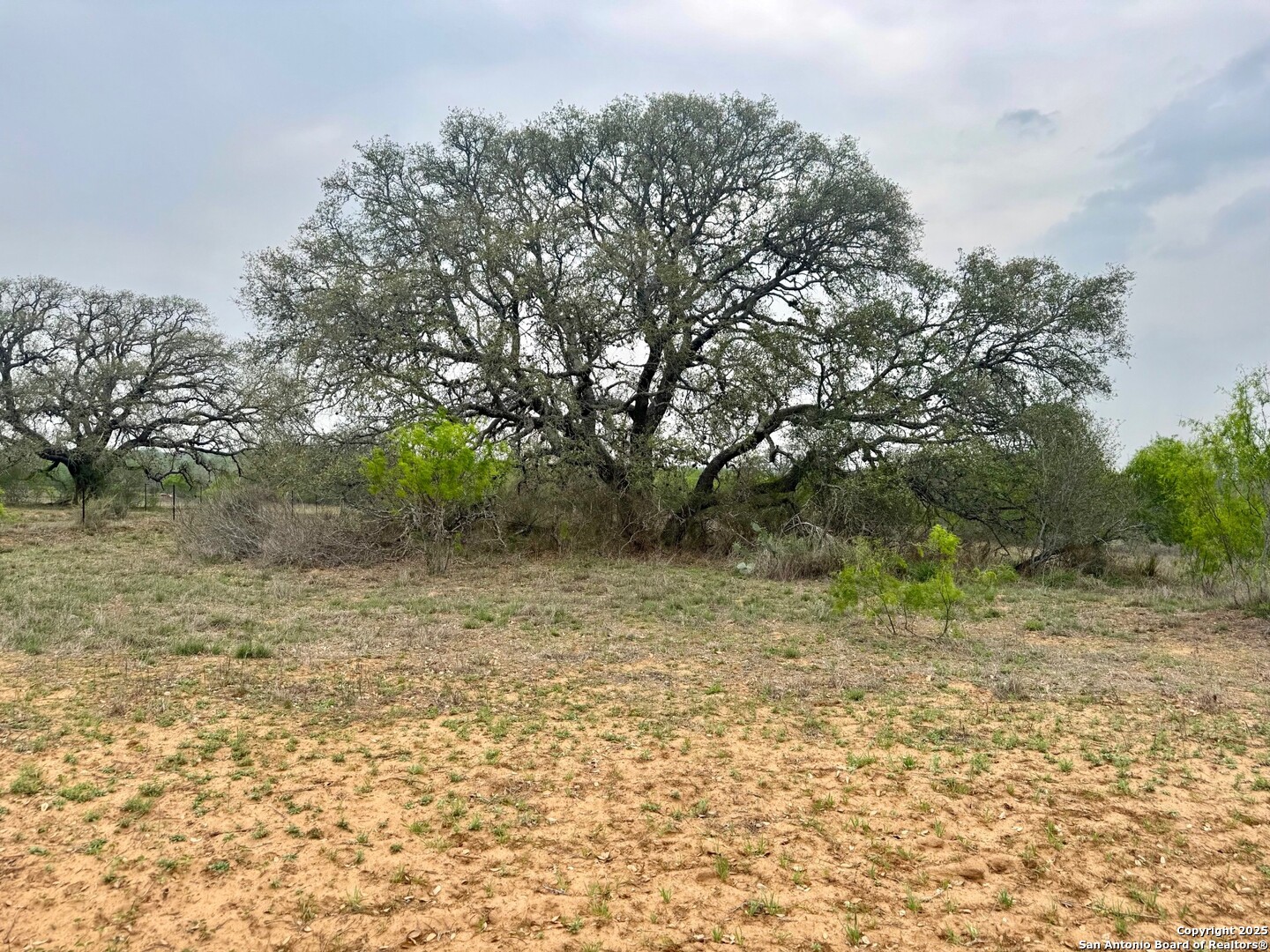 428 Horton Road Poteet, TX 78065 - Photo 25 of 28 a view of outdoor space with trees