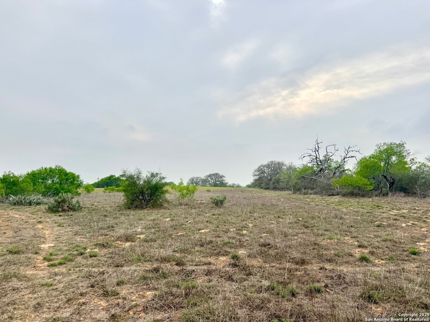 428 Horton Road Poteet, TX 78065 - Photo 27 of 28 a view of a field with plants and trees in the background