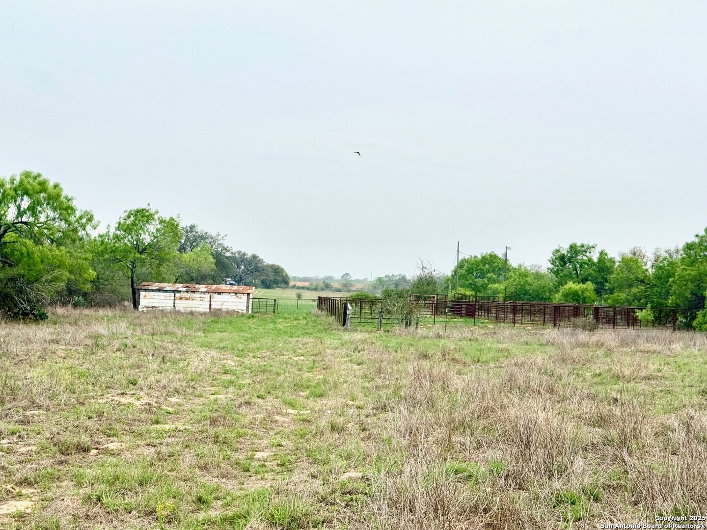 428 Horton Road Poteet, TX 78065 - Photo 28 of 28