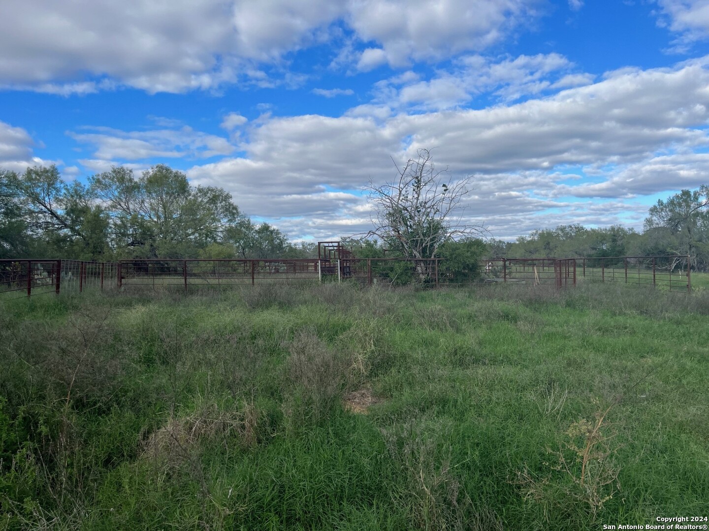 428 Horton Road Poteet, TX 78065 - Photo 3 of 28 a view of a lush green forest with lots of green space