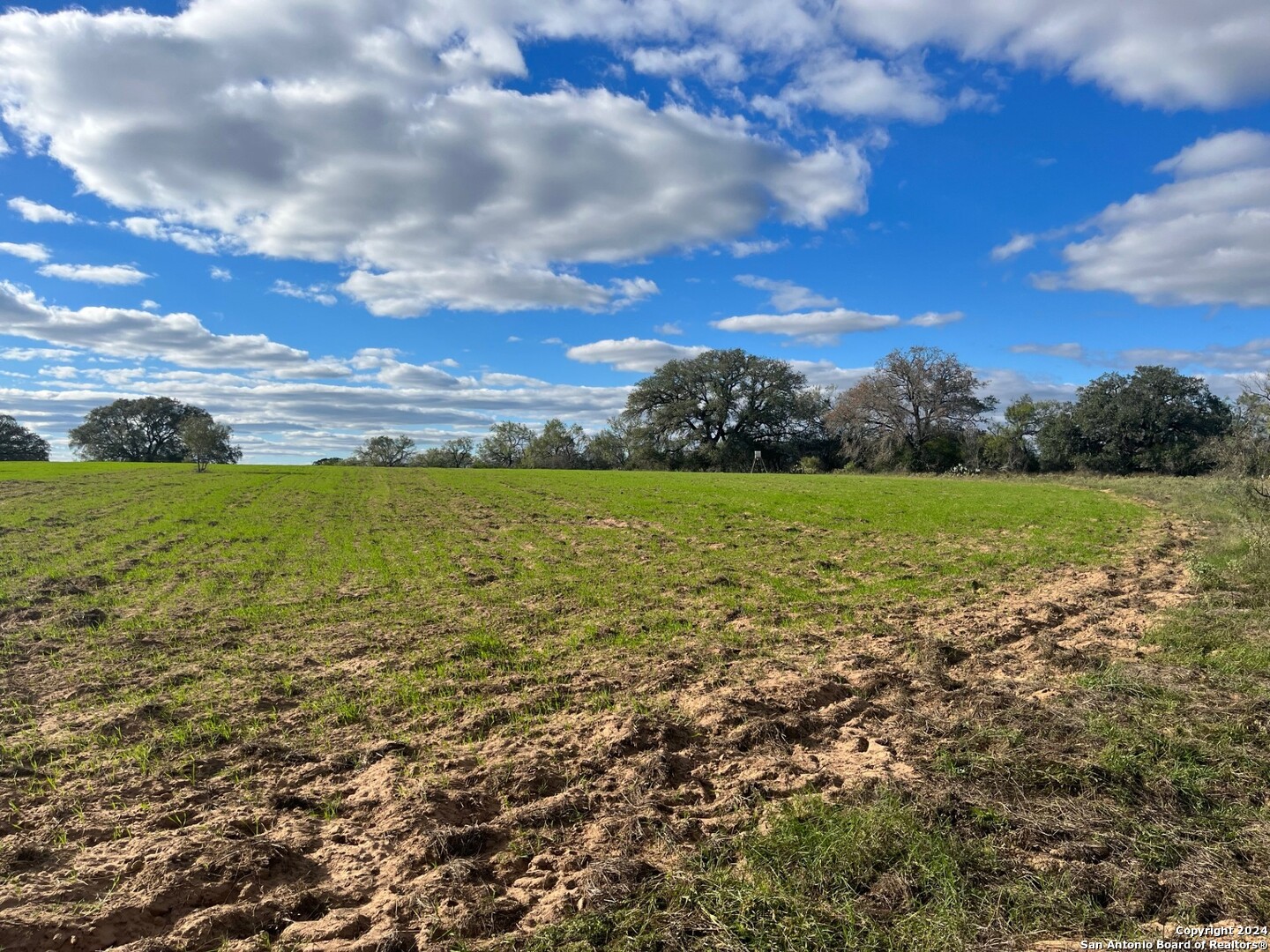 428 Horton Road Poteet, TX 78065 - Photo 6 of 28 a view of a field with an ocean