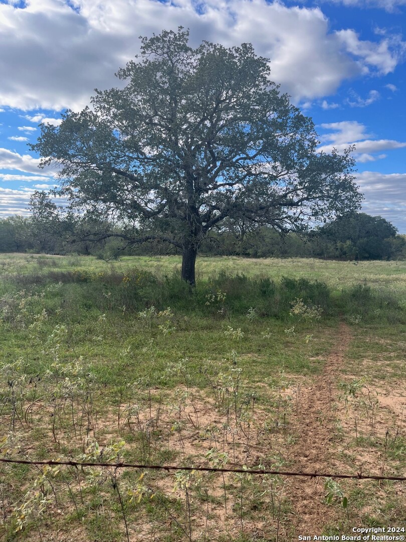 428 Horton Road Poteet, TX 78065 - Photo 7 of 28 a view of a lake view