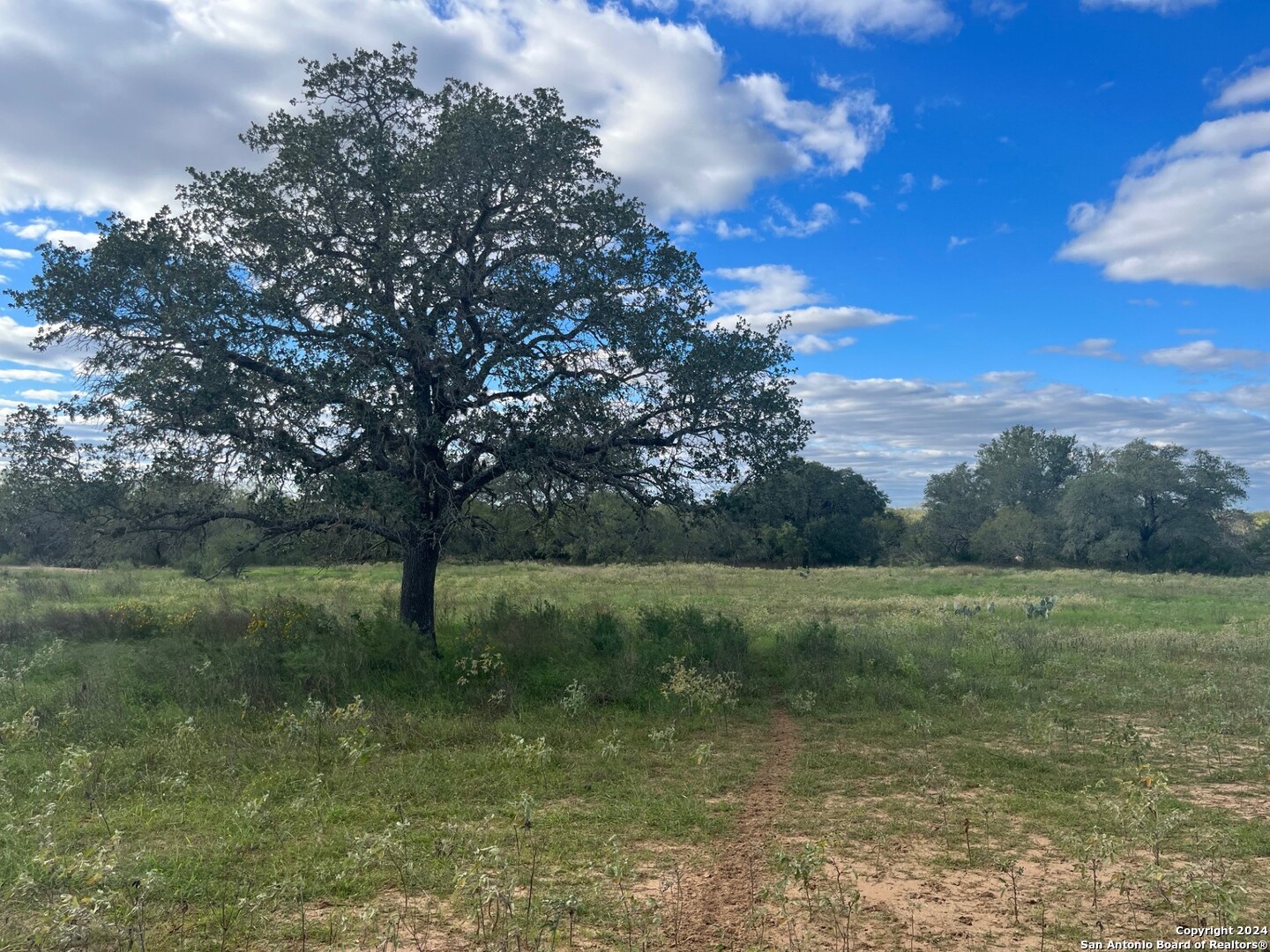 428 Horton Road Poteet, TX 78065 - Photo 8 of 28 a view of outdoor space and yard
