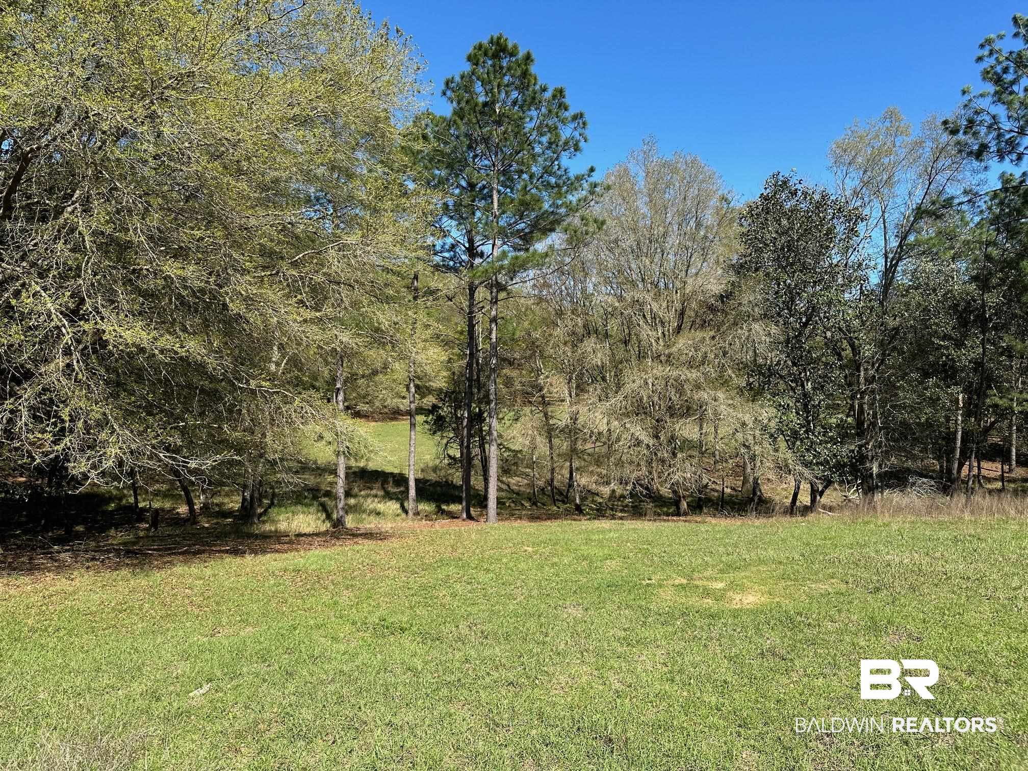 0 Rada Road Silverhill, AL 36576 - Photo 7 of 8 Back Acreage