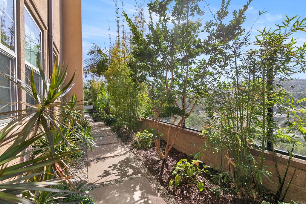7001 Sitio Frontera Carlsbad, CA 92009 - Photo 39 of 40 a backyard of a house with lots of green space