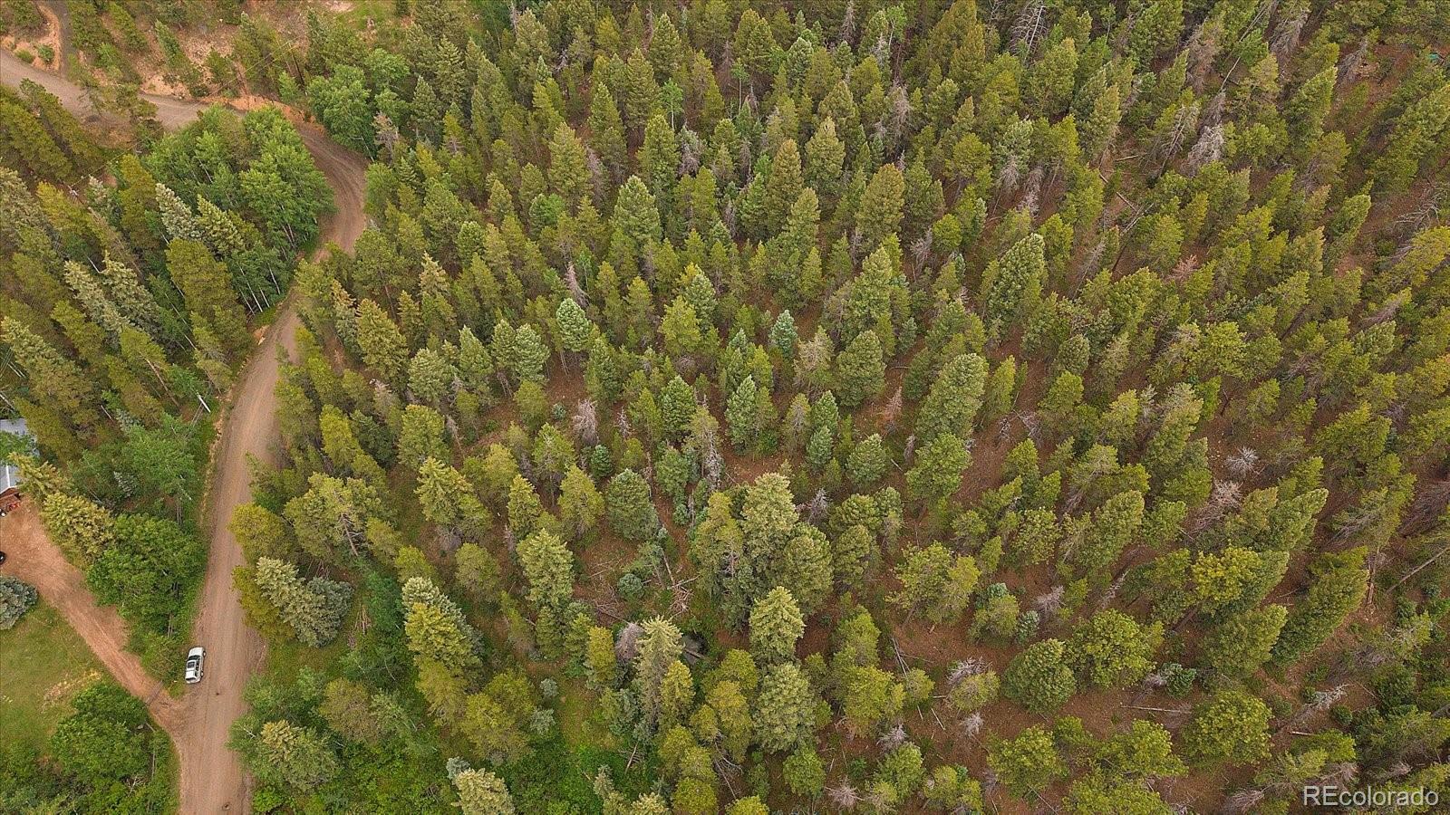 27578 South Timber Trail Conifer, CO 80433 - Photo 14 of 25 a view of a yard