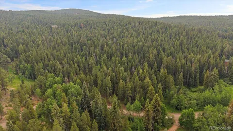 a view of a lush green forest with lush green forest