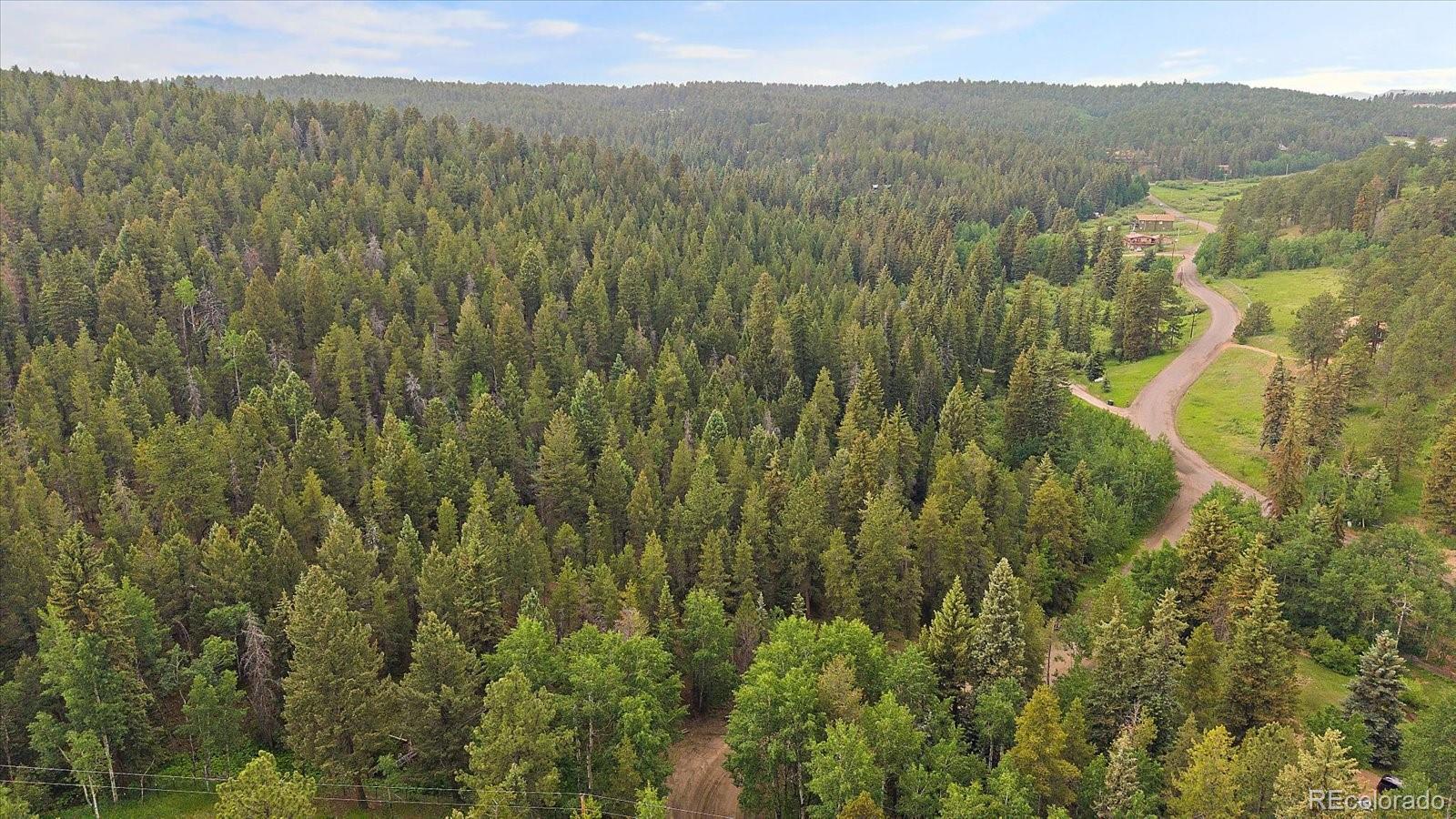 27578 South Timber Trail Conifer, CO 80433 - Photo 6 of 25 a view of a lush green forest with mountain