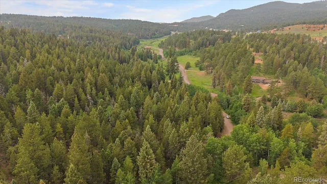 a view of a lush green hillside and a mountain