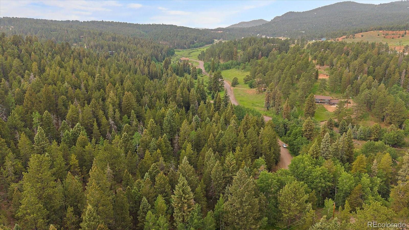 27578 South Timber Trail Conifer, CO 80433 - Photo 8 of 25 a view of a lush green hillside and a mountain